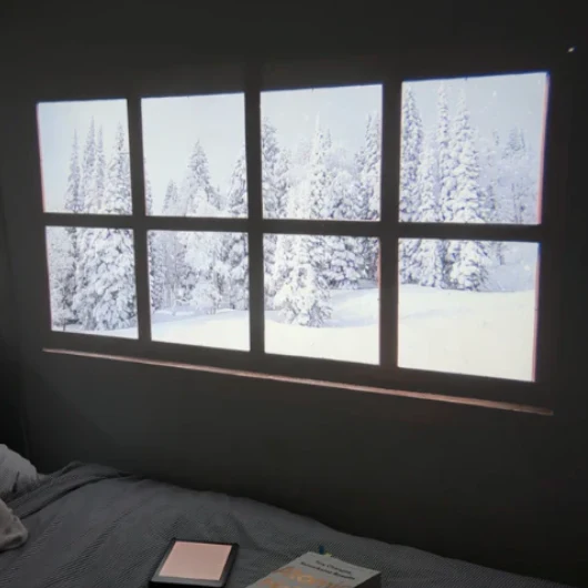 Whisker™ 4k Projector